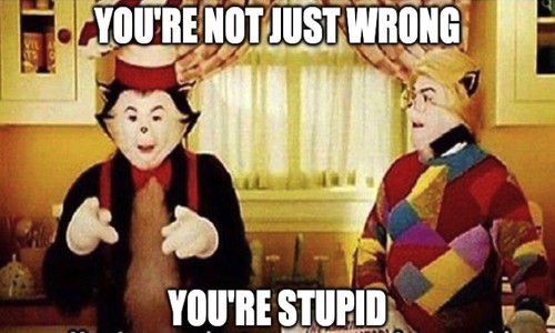 Obtuse Woman 'Mixes Up' Ilhan Omar's Immigration Story With Total Immigration Fraud Elon Musk's