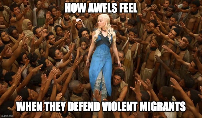 Ann Bauer Schools an AWFL: From Anne Frank Memes to 'What Fraud ?' – A Master Class in Schooling Normies