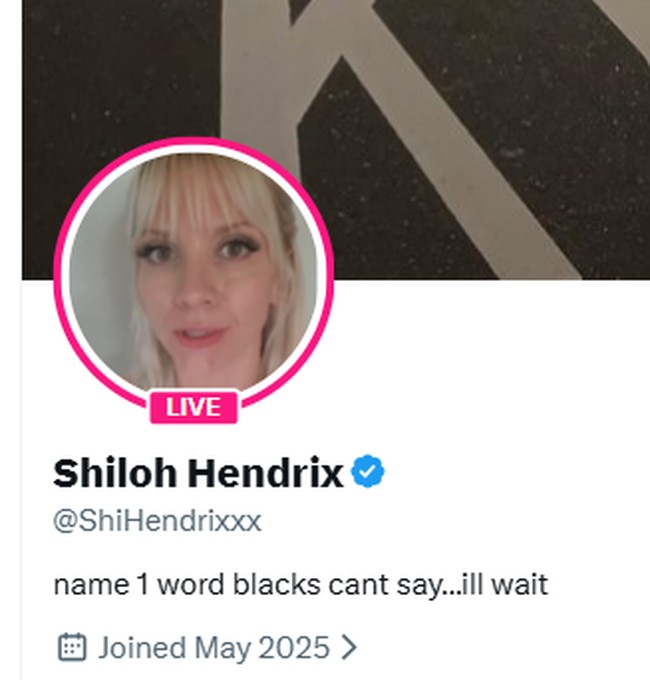 Shiloh Hendrix Scammer