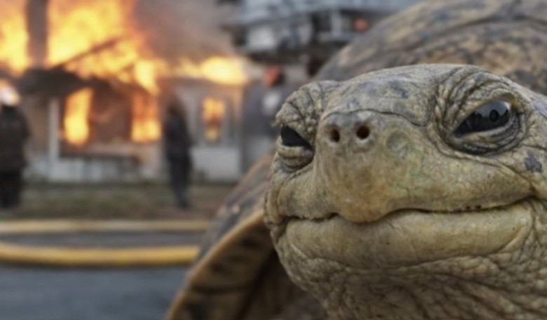 A Manlet and His Girlfriend Busted After Lighting an Abandoned House on Fire With Scrap Paper