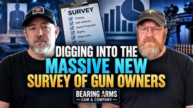 Digging Into the Massive New Survey of Gun Owners