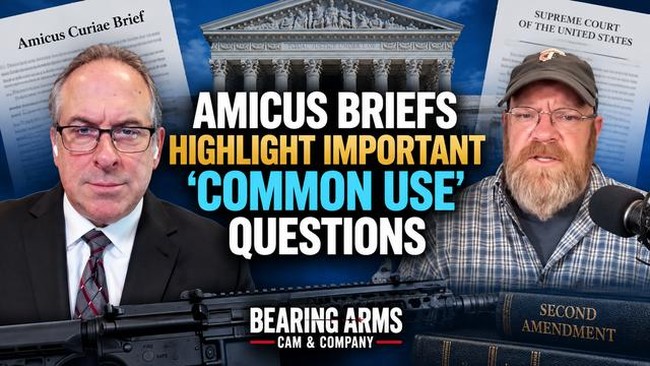 Amicus Briefs Highlight Important 'Common Use' Questions