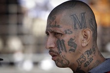 President Trump to Host Summit on MS-13 in New York