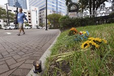 God, Author of Diversity and Uniformity