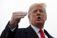 Trump Weighs in on Possible Election Fraud in Florida--Here's What He Had to Say 