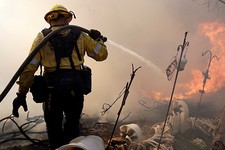 Coronavirus Forces Firefighters in Washington State to Get Creative With Their Fundraising Efforts