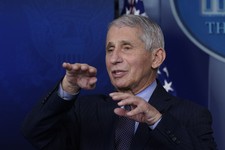 Former Fox News Host Roasts Fauci Over Absurd Wedding Decree 