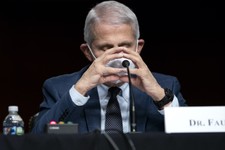 Fauci Has Vanished from the Face of the Earth