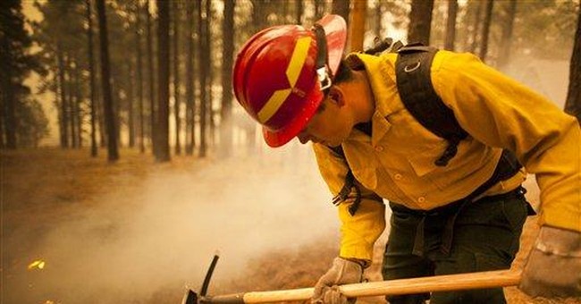 Catastrophic Wildfires? Thank the Greenies and Forest Service