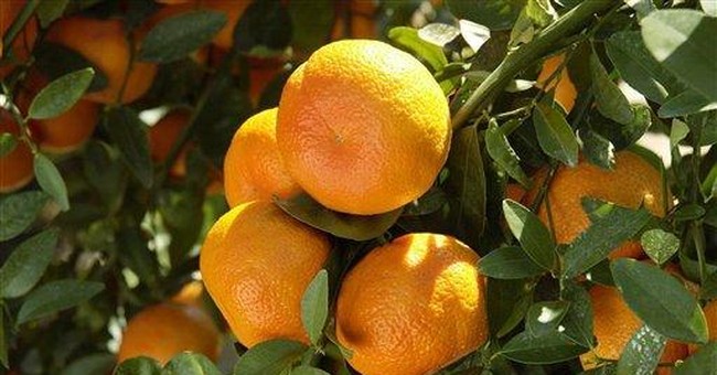 Higher Culture Aside: If We Took a Holiday