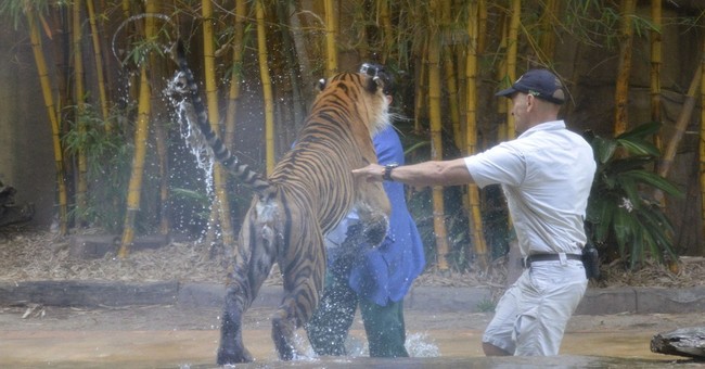 Has the Asian Tiger Gone Tiger? 