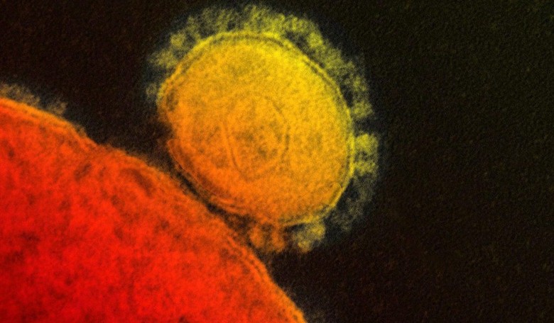 NYU Professor Notes Coronavirus May Be 'Bi-Phasic like Anthrax', It's Time to Press the Chinese for More Answers