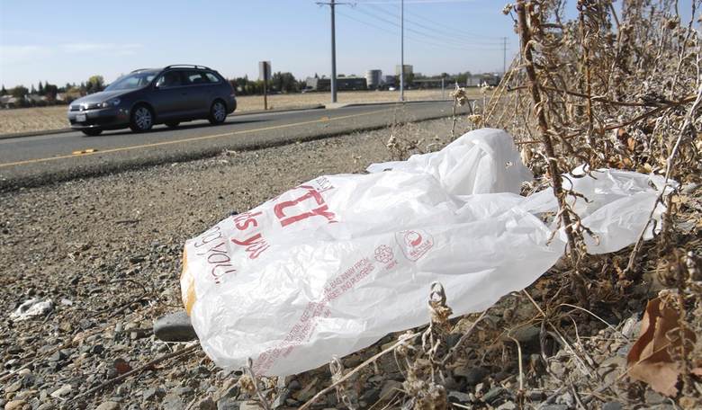 They Banned Plastic Bags and Increased Plastic Usage by 300%