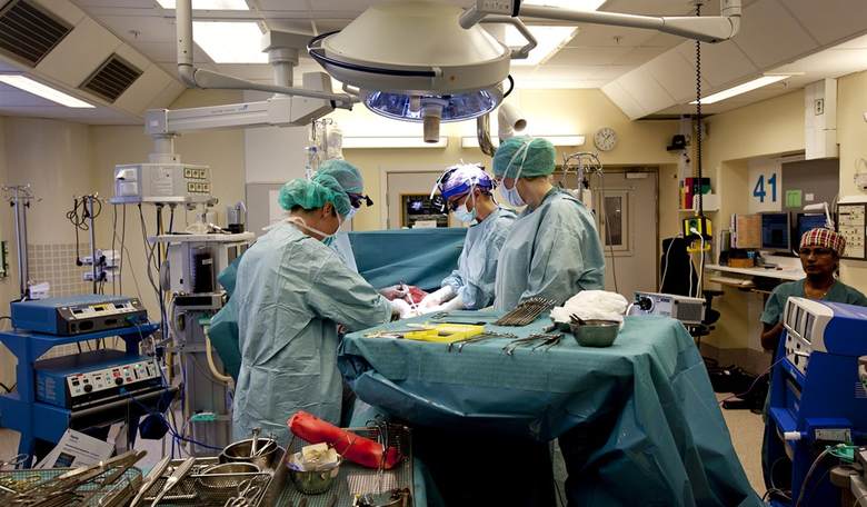 Report: University Schools Midwifery Students on the Handling of the Birthing Penis