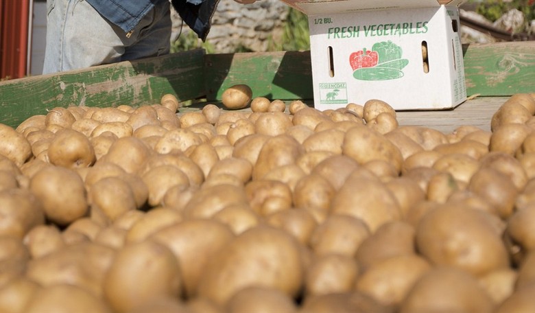 POTATUS in England? Speaking of vegetables...