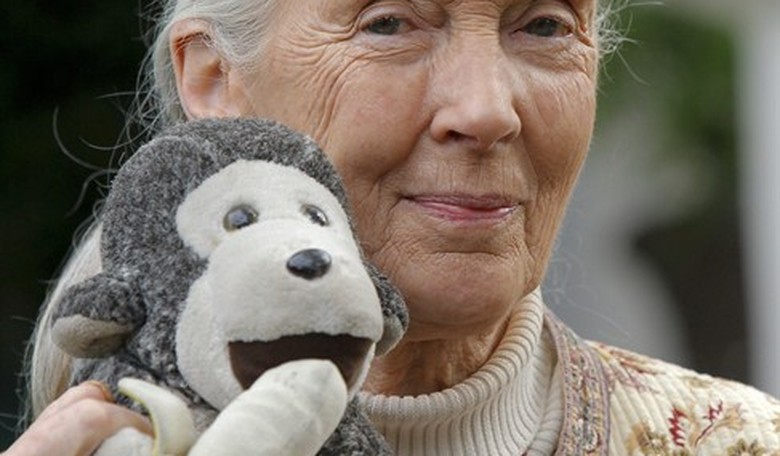 Flashback: When Jane Goodall Called for Global Depopulation at the WEF