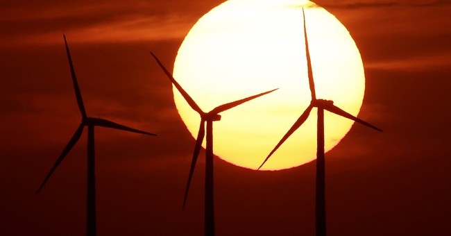 Blood on the Blades: Is Bird Life Facing Global Catastrophe from Wind Turbines?