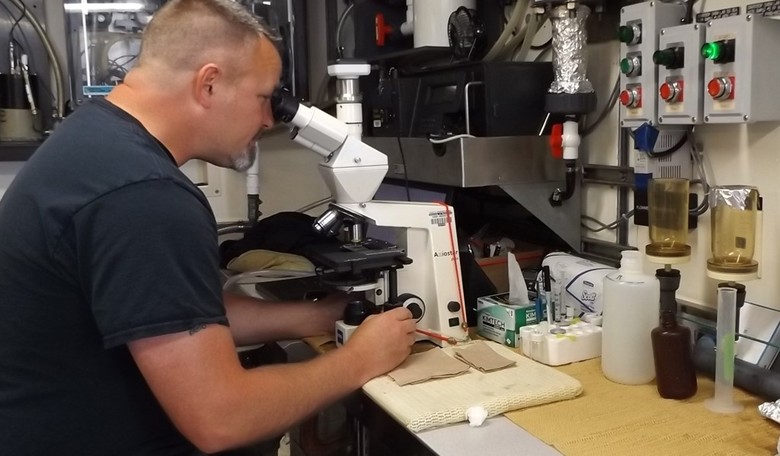 There is a deadly fungus among us and new cases are soaring
