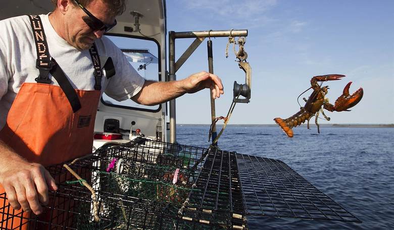 Maine Lobstermen Get a Big Win Over Biden; Admin's Hypocrisy Faces Big Questions and Investigation