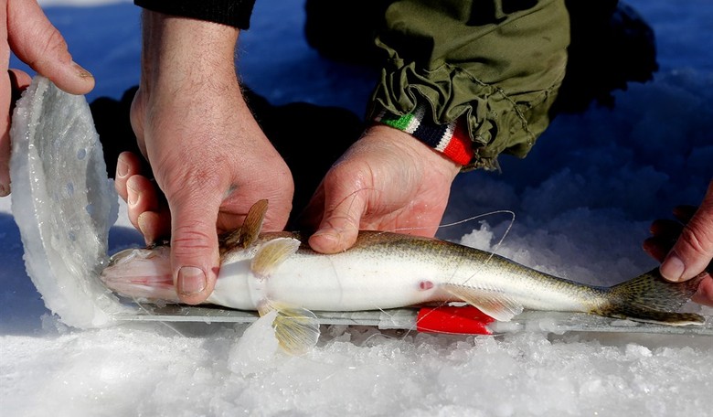 RIGGED: Pro Fishermen Caught Cheating During Weigh-in, Crowd Rages in Anger