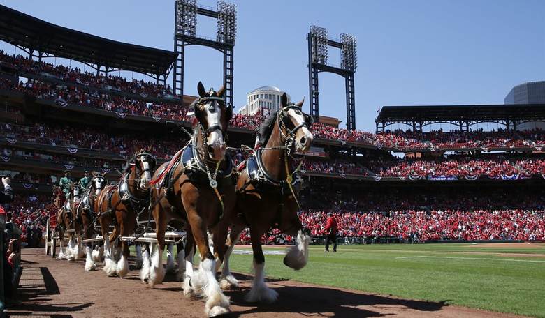 Pity the Poor Budweiser Clydesdales