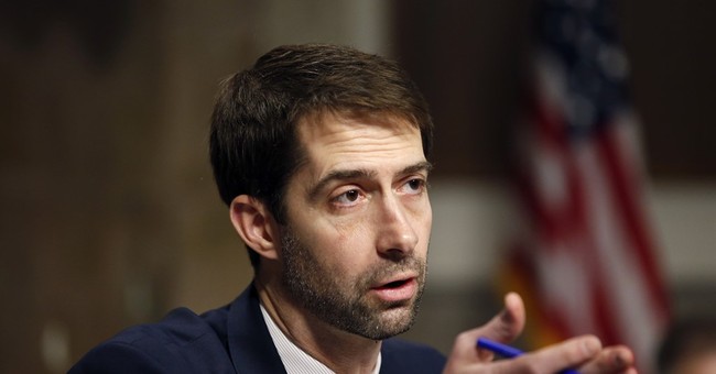 Sen. Cotton on How the Chamber of Commerce Has 'Gone Left'