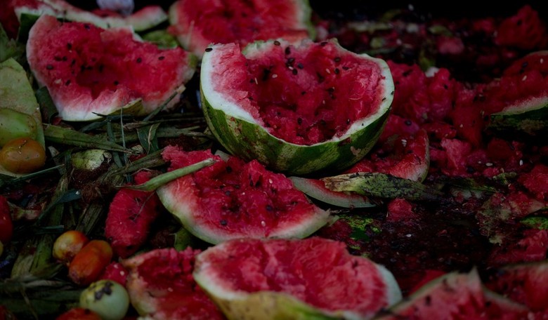 Criminally Bright: Robbers Try to Outsmart a Masked World by Wearing Watermelons On Their Heads