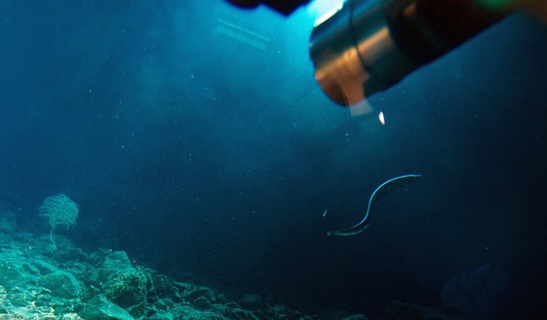 Russia Sending a Submarine Salvage Ship to the Wreck of the Moskva Makes You Wonder What They Misplaced