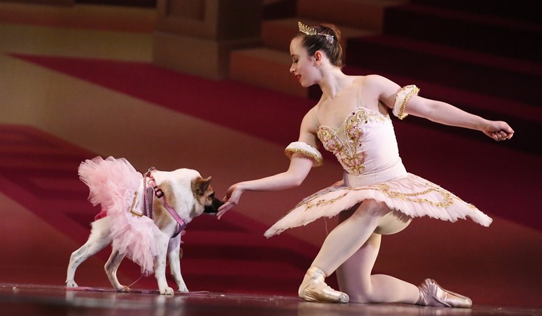 When Caucasians Cut Rugs: Dance School Boots Ballet Because It's Wickedly White