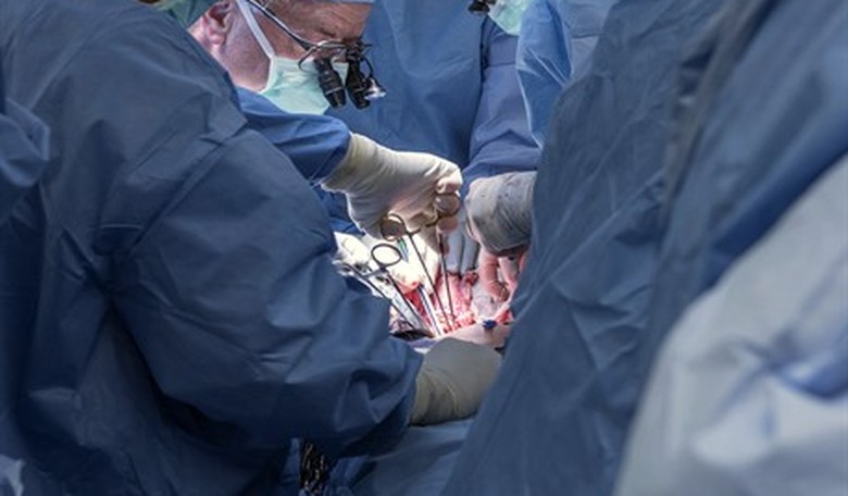 The AMA Examines the Idea of Subsidies for Uterus Transplants for Trans People