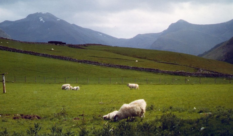 Rats: Scotland's "Nationalist Party" has wee country pretty much where you'd expect