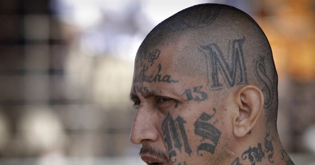 MS-13 Member Came to US With Caravan 