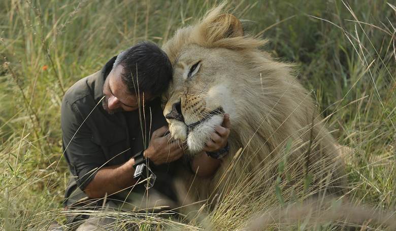 Of Lions and Cephas Hour
