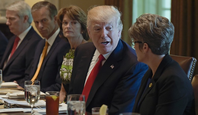 Trump to Republican senators: The House health-care bill was "mean"