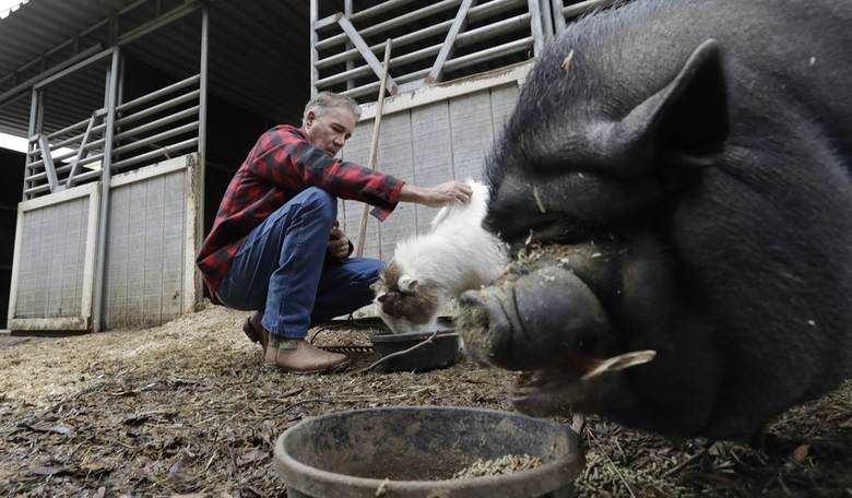 Let's Put America's Humane Family Farmers Above Foreign Conglomerates