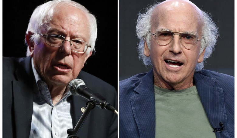 Even Larry David Believes Bernie Should Call It Quits, So Everyone Can 'Support Biden.' Bad Move