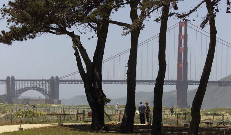 What does San Francisco do when buildings aren't worth the real estate taxes owners are paying?