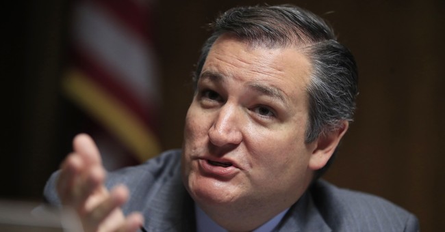Sen. Ted Cruz Calls Out Media, Democrats for Using Tragedy to Advance Gun Agenda