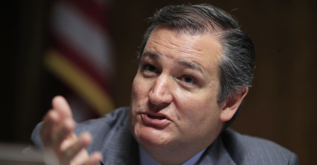 Cruz Slams Path to Citizenship for 'Anybody Here Illegally' 