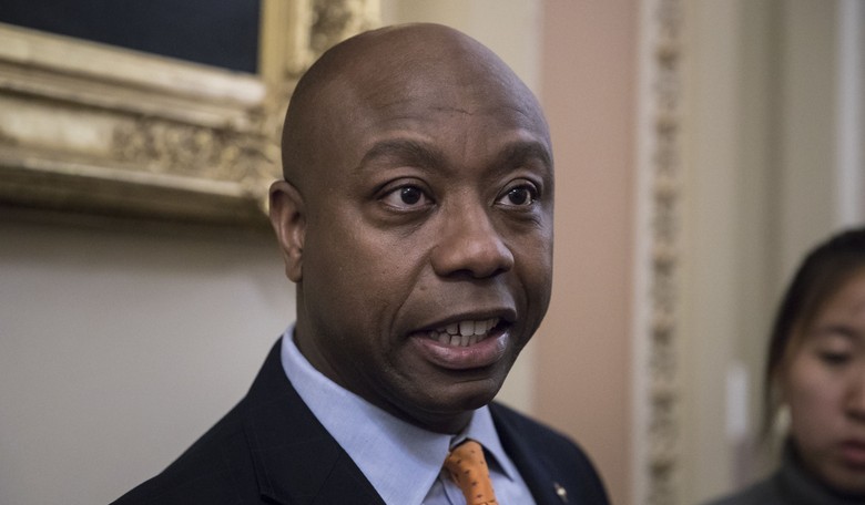 Tim Scott Returns Fire After Joy Reid Calls His Vote Against Jackson 'Barking-Dog Racism'