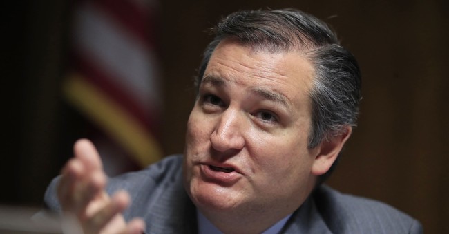 WATCH: Ted Cruz Shuts Down Bernie Sanders' Thoughts on Taxes, Socialism