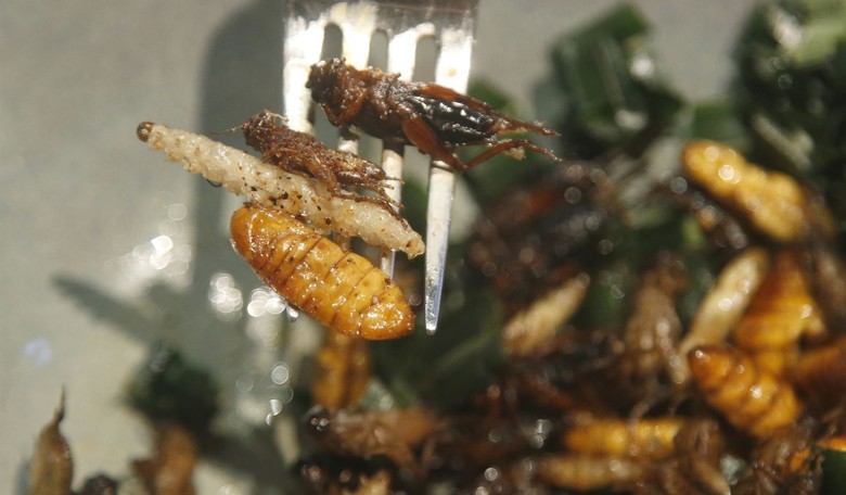 Hold the Pickles, Hold the Lettuce, Insect Entrées Don't Upset Us!