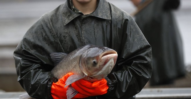 Fish Fry: Social Justice Sizzles With the Woke Renaming of a Racism-Riddled Carp