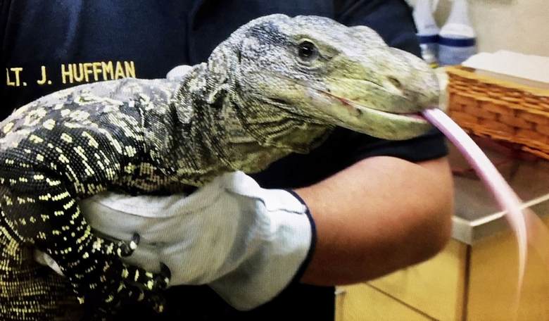Mo' Kraken: From the Lizard Squad to Project Veritas's Warnock Revelations—At This Point, Will It Make Any Difference?