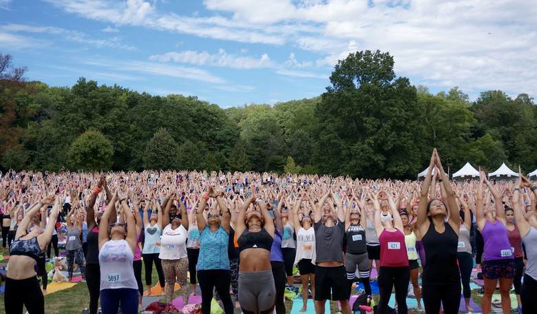 Happy Thanksgiving! Grateful Thoughts About Communities: Yoga, Guns, and Politics