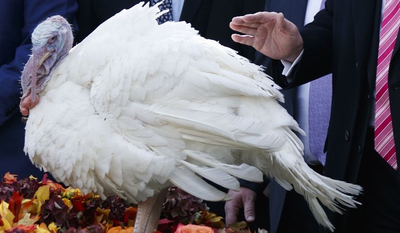 Hey! All You White Colonialists Out There: Here's How You 'Decolonize' Your Family Thanksgiving Dinner
