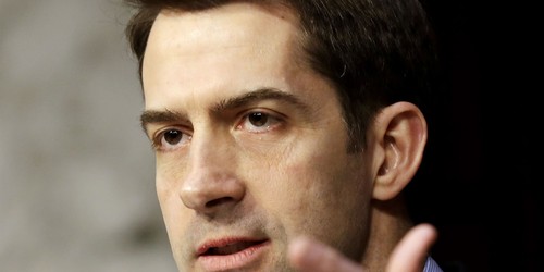 Tom Cotton Blasts Media for Not Asking Questions About Warnock's Arrest in Child Abuse Investigation 