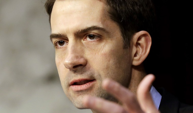 Sen. Tom Cotton Seeks To Keep Federal Funding From Schools Using 1619 Project As Part of Curriculum