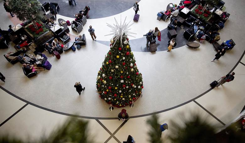 Woke Massachusetts Official Tells on Herself in Bizarre Public Dispute Over Christmas Tree Display