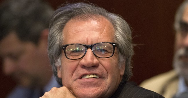 OAS: Venezuela, You Need To Hold An Election